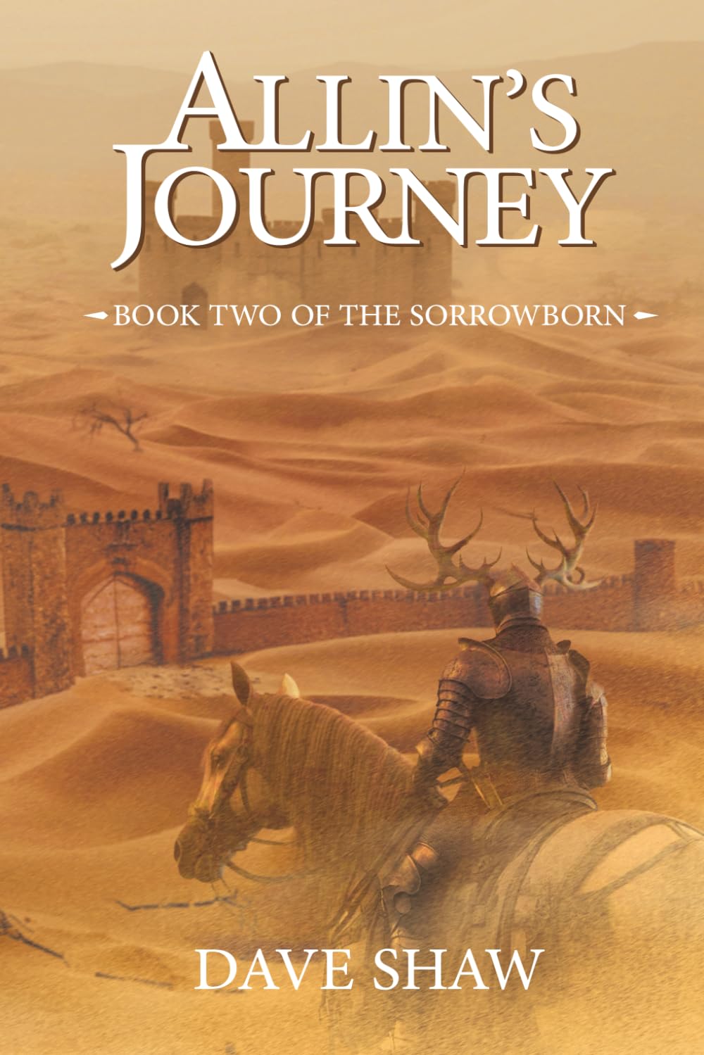 Allin's Journey: Book Two of the Sorrowborn (The Sorrowborn A Life In Denial)