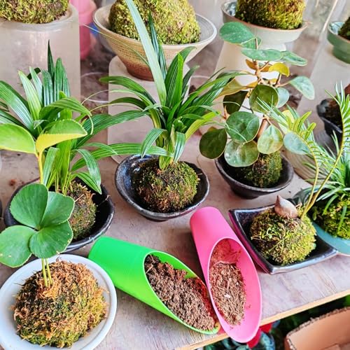 ROYHOO 9 piezas Cucharas para Suelo Bonsái Plástico miniatura 3