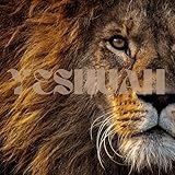  Worship Mob Soak with me