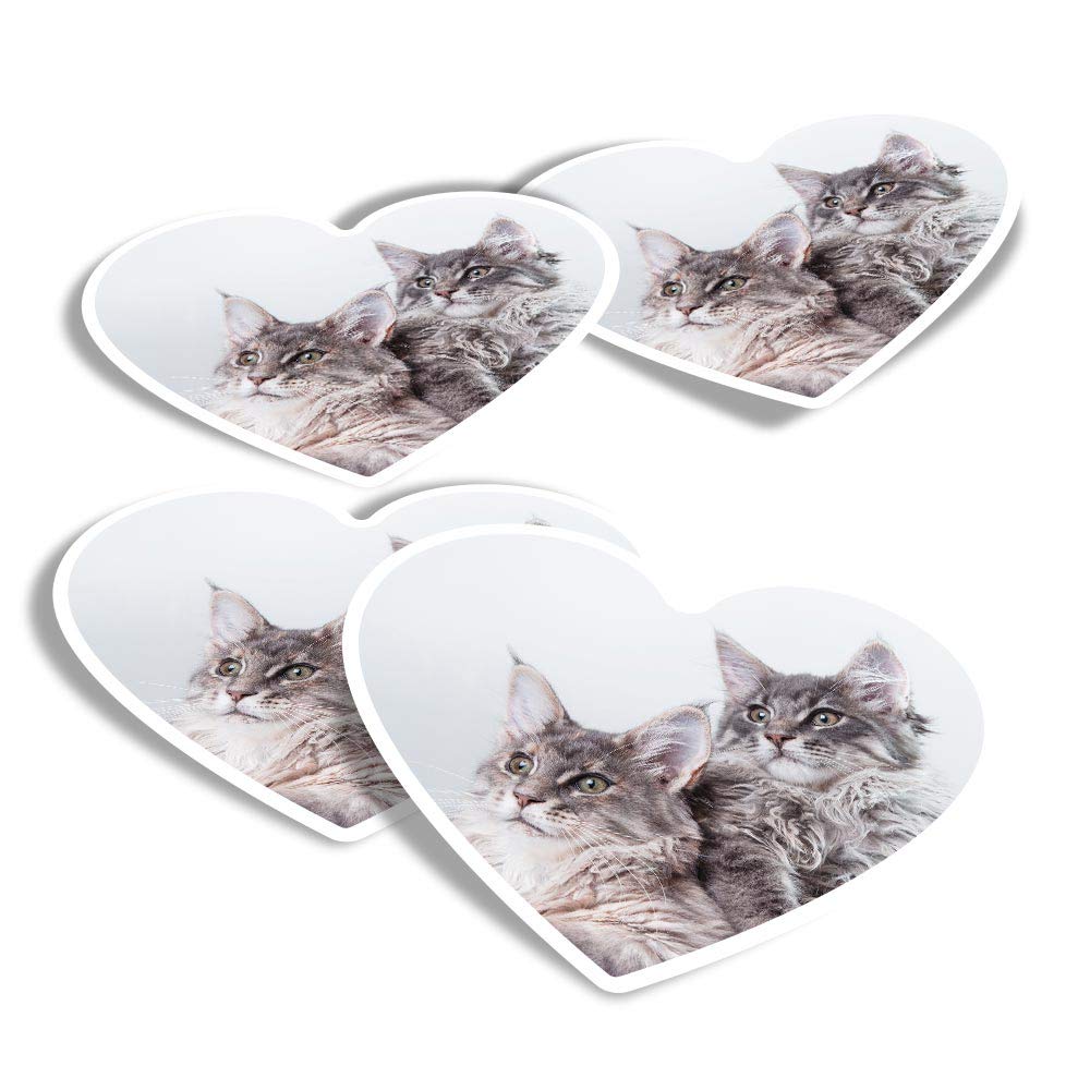 Destination Vinyl Ltd Multi Vinyl Heart Stickers (Set Of 4) - Fluffy Maine Coon Kitten Cat Fun Decals For Laptops,Tablets,Luggage,Scrap Booking,Fridges #15729