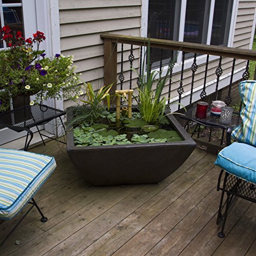 Aquascape Aquatic Patio Pond, Container Water Garden, 27-Inch Square, Gray Slate | 78050 #TOP4