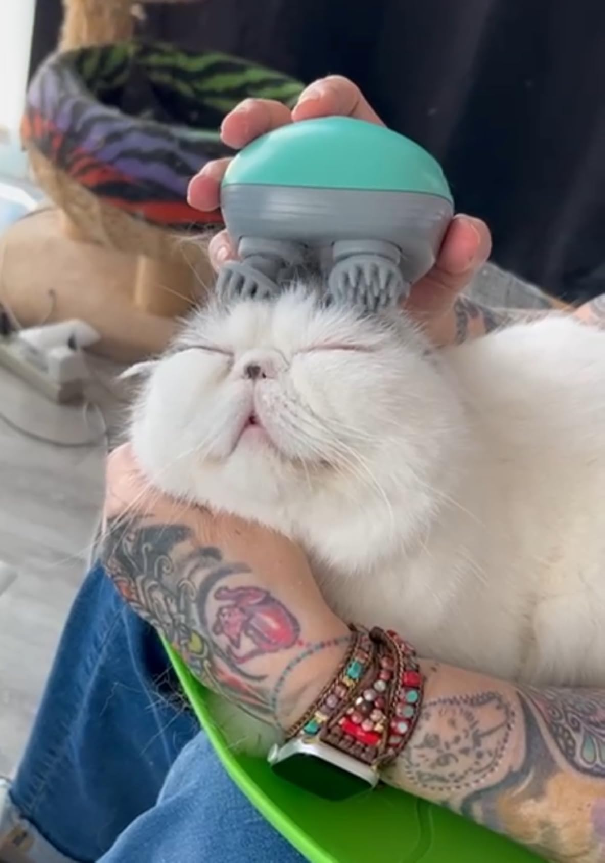 TappyTap™ – The Automatic Cat Self-Petter & Massager photo review