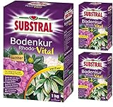  3 x 1 kg Substral Rhodo-Vital Bodenkur, NPK-Dünger 5-4-7,5
