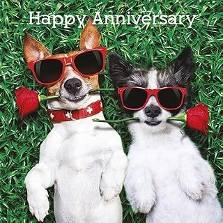 Photographic Greetings Card (AG0813) - Anniversary - Love Dogs - from The Funny Animals Range.