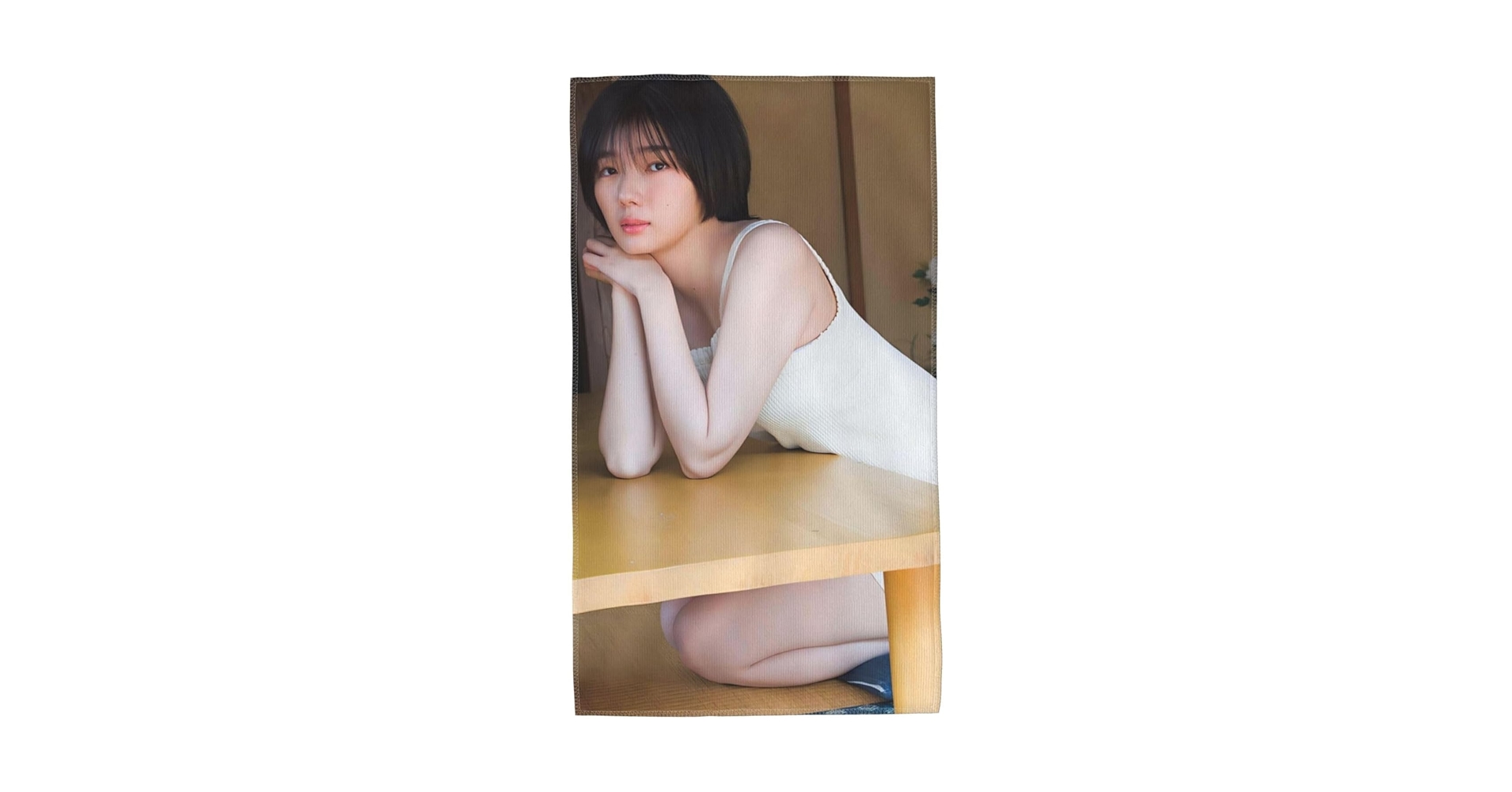 新品★TUBE 2018ライブ ビーチタオル エコバッグ Beach Towel - Ivory / Black – HCC TOKYO - Helinox Creative
