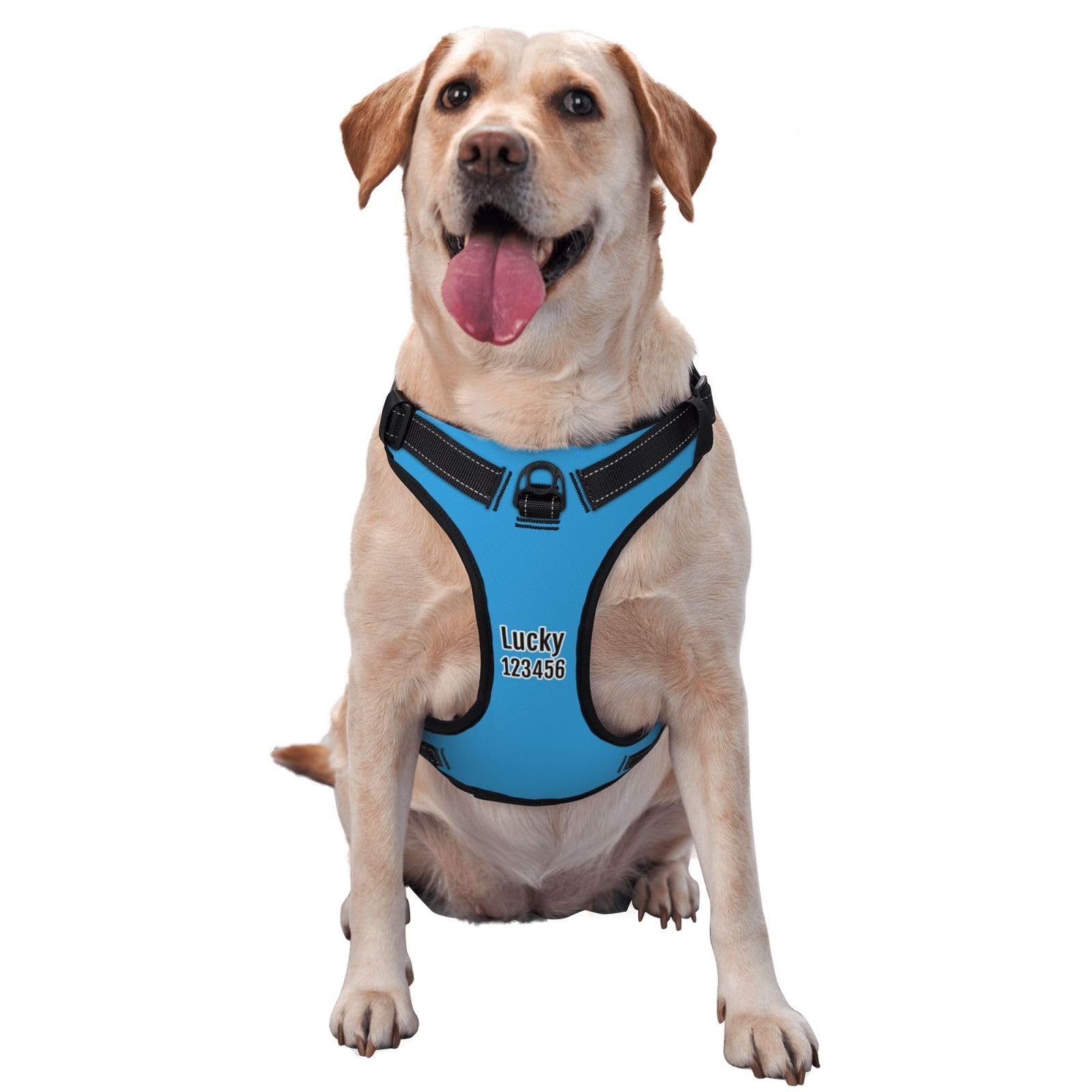 Personalised No Pull Dog Harness Leash Set with Name Phone Number - Custom Dog Vest, No-Pull Adjustable Reflective Pet Harness for Small Medium Large Dogs (S-XL)