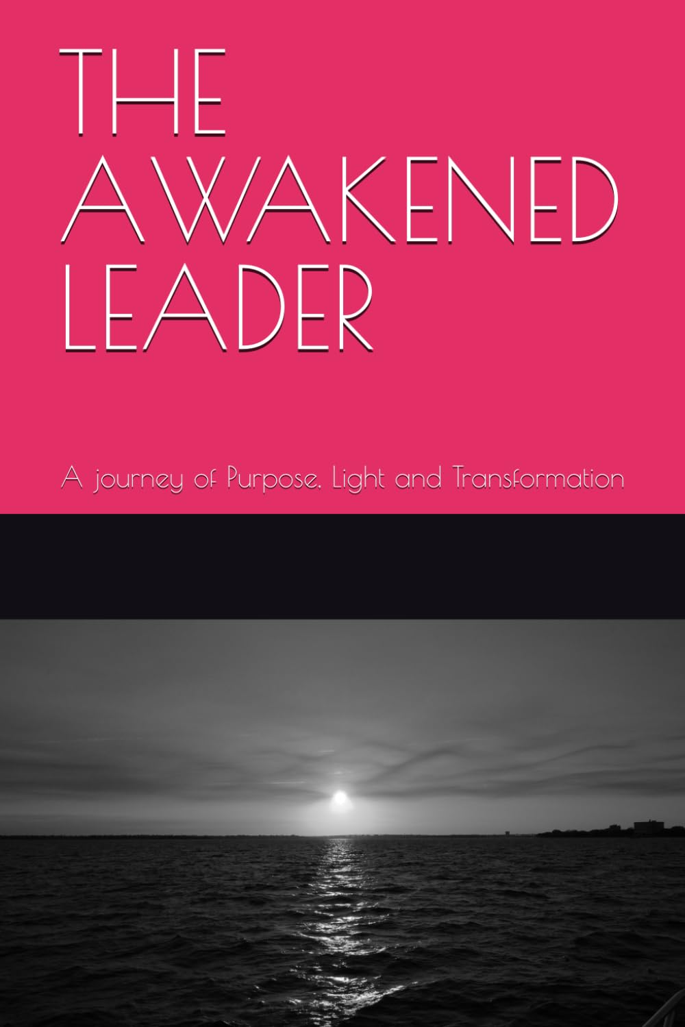THE AWAKENED LEADER: A journey of Purpose, Light and Transformation
