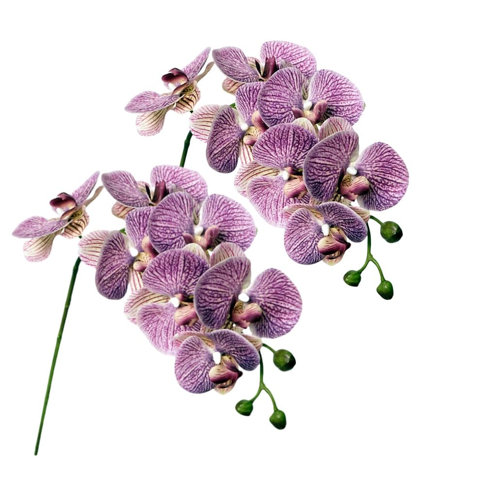 Fleurs phalaenopsis artificielles pour salon moderne, lot de 2 orchidées en latex violet