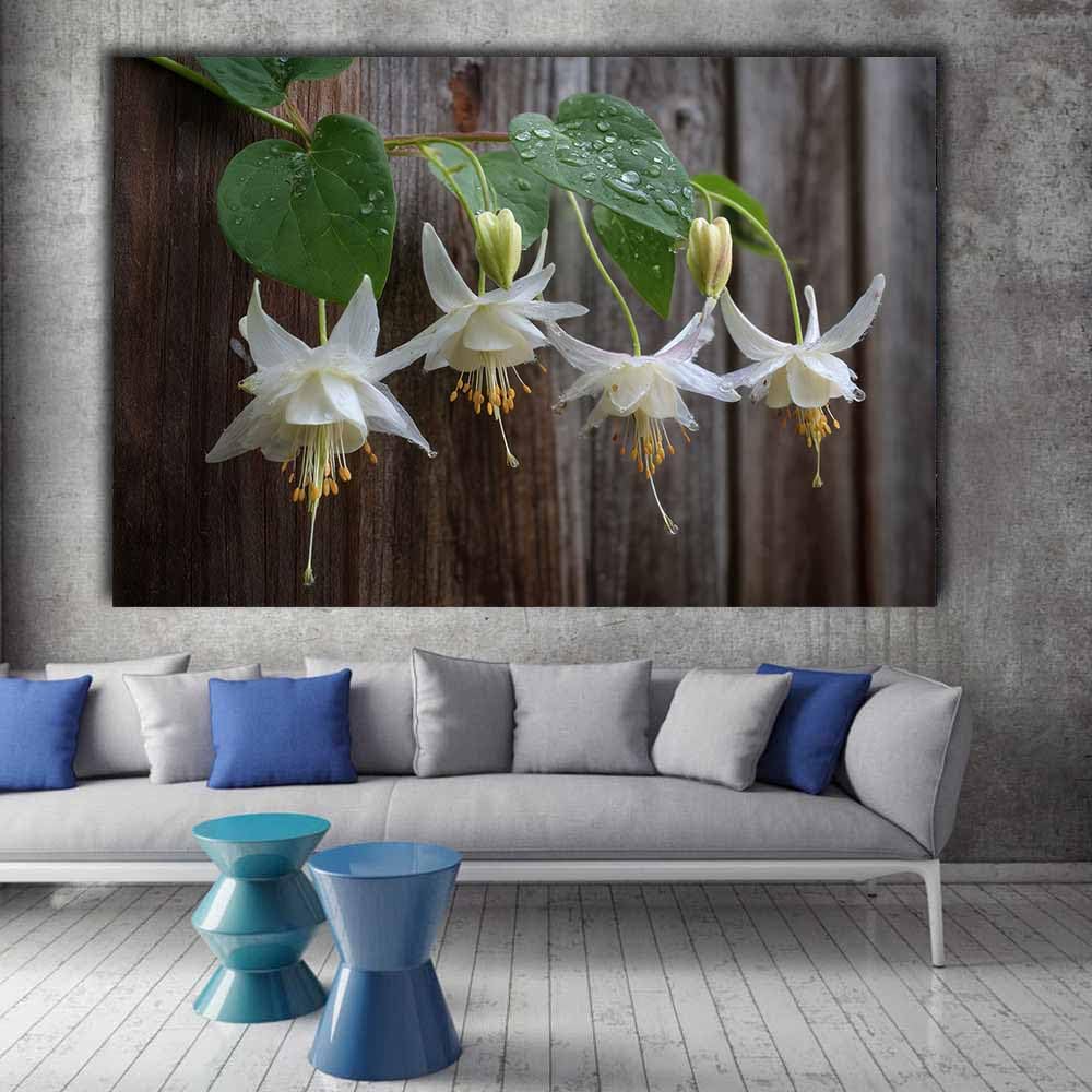 ZAMAEIU Naturalne obrazy krajobrazowe kwitnące globeflowers duże nowoczesne obrazy pejzażowe do salonu, sypialni, łazienki, jadalni (biały)-30x50cm oprawione