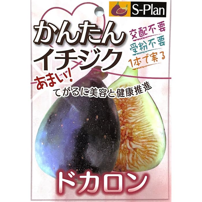 Amazon.co.jp: 予約販売 いちじく 苗 ドカロン 15cmポット イチジク