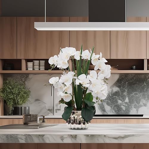 Vista 101 de CXGS Plantas artificiales de orquídeas artificiales de tacto real, orquídeas falsas en jarrón de cerámica de 20.9 pulgadas, orquídea falaenopsis