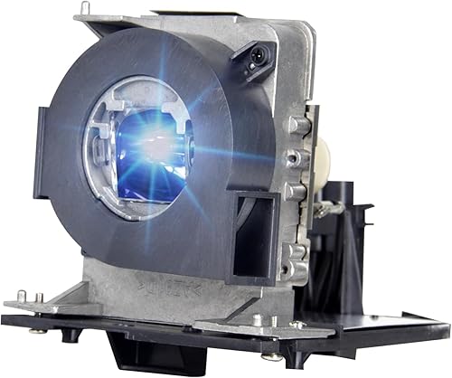 Bombilla de repuesto NP39LP con carcasa para proyector NEC NP-P502H NP-P502W P502H P502H P502HL P502W (bombilla original en el interior)