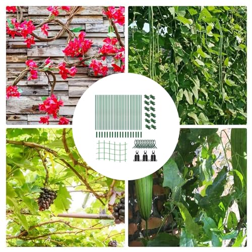 Support en métal pour légumes et structure de jardinage durable