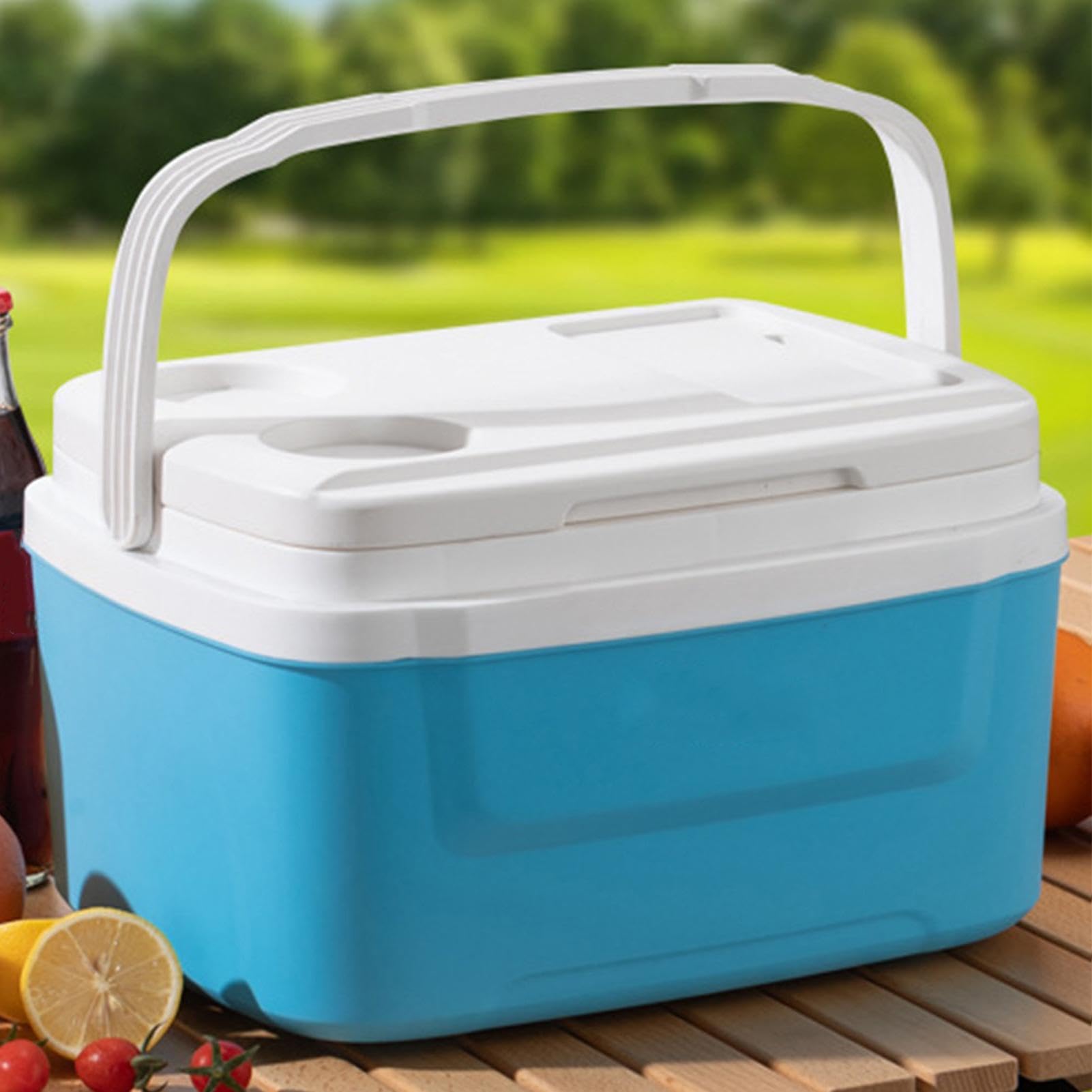 Borsa frigo da campeggio, portatile, per auto, per il ghiaccio, per il | Ghiaccio isolato da 8 litri, adatto per escursioni, pesca, viaggi, tailgating, barbecue, viaggi su strada, camion,