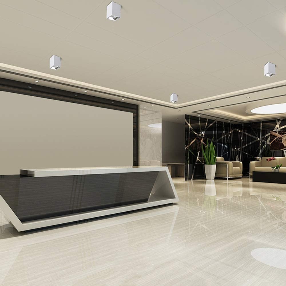 Nowoczesna lampa sufitowa LED, lampa sufitowa Nordic, pojedyncza lampa do przedpokoju, podjazdu, ganku, oświetlenia ściennego w tle, skraplacz 4000K, naturalna biel na zewnątrz/30 W