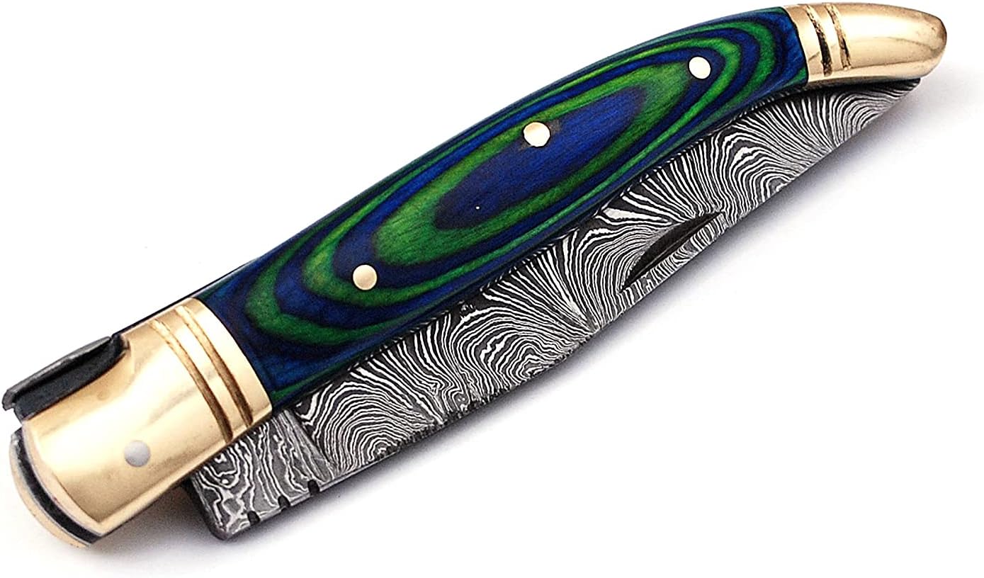 Damascus steel folding knife with leather sheath, 8.5 inches long laguiole pocket knife with 4 inches long Damascus steel Blade, 4.5 inches Blue multi colored wood scale with Brass bolster and pommel, Leather sheath included (Green)