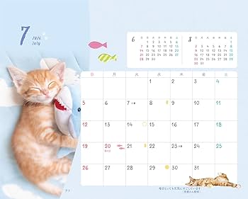 Amazon.co.jp: にゃっぷる 保護ねこカレンダー2026 卓上版「幸せつない Amazon.co.jp: にゃっぷる 保護ねこカレンダー2026 卓上版「幸せつない