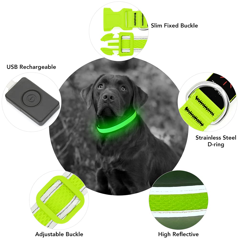 YFbrite Light up Dog Collar, USB Rechargeable LED Puppy Collar Super Bright Adjustable Glowing Dog Lights for Night Walking (Green, Small)