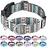 Fidohug Martingale Dog Collar with Buckle Tribal Design Adjustable Escape Proof Pet Collars (Aztec, Medium)