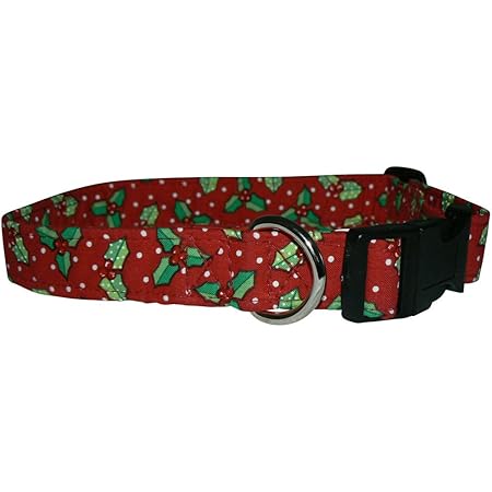 holly dog collar