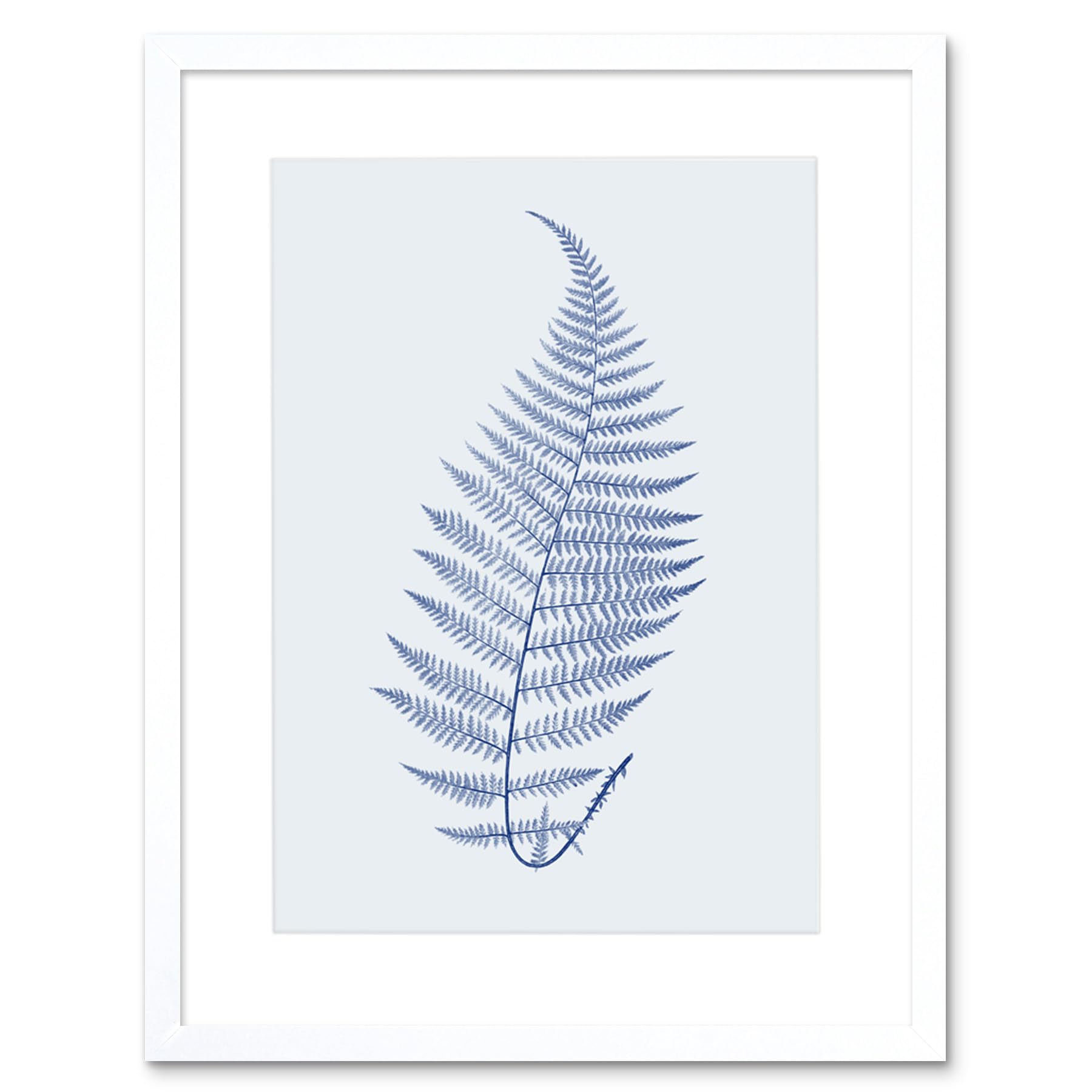 Wee Blue Coo Botanics Cobalt Fern Alpestre Art Print White Framed Poster Wall Decor 9x7 inch