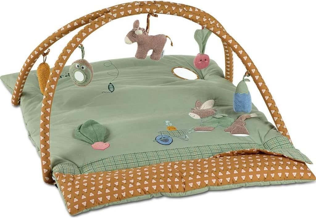 Sterntaler Emmilius Baby Play Arch with Functions