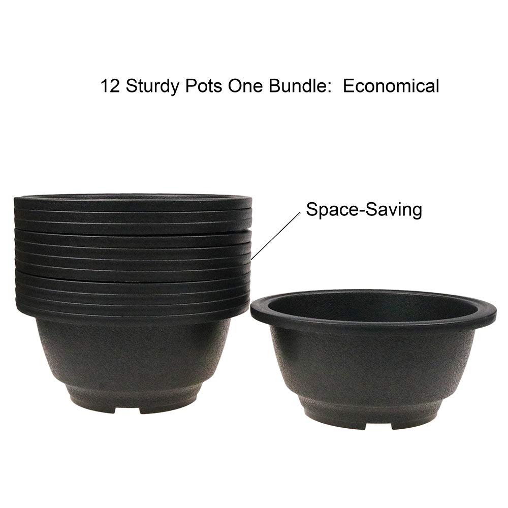 MUZHI 12PACK Matte Black Succulent Bonsai Round Planter Bowl Pot with Drainage, Plastic Cactus Flat Garden Plant Bowl Pots 6.3�