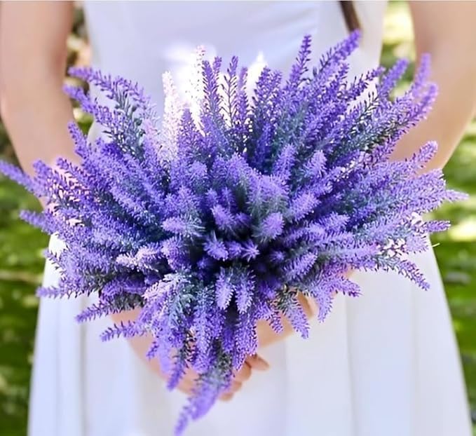 Image of Rare & Beautiful Lavender Live Plant for Home Gardening | Healthy Aromatic Flowering Plant for Indoor Outdoor Balcony & Rooftop (Pack of 1)