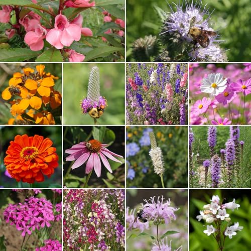 Image of Ferry-Morse Bumblebee Buffet Bulk Wildflower Seeds, 290,000+, 1 lb