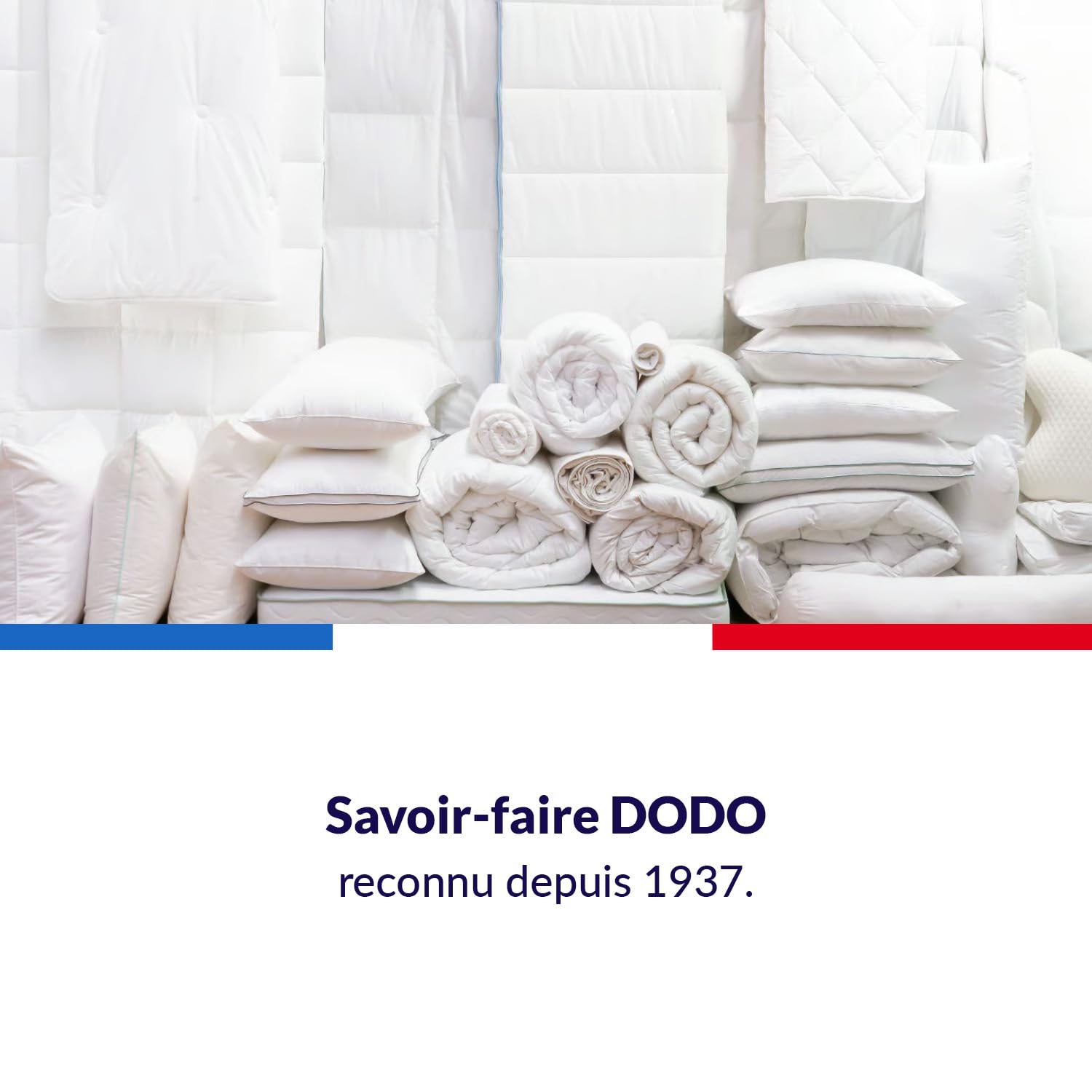 DODO | Oreiller Végétal à Mémoire de Forme 60x60 | Maintien des Cervicales | Taie déhoussable et Lavable à 40°c