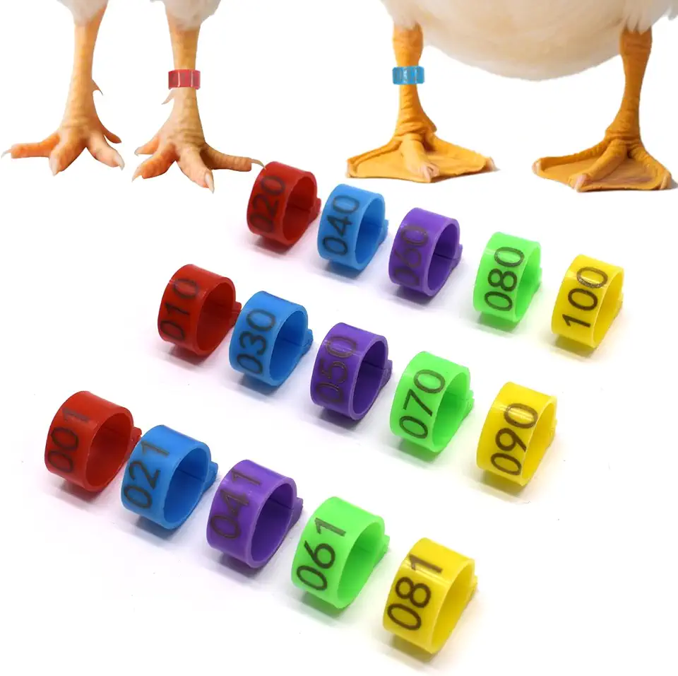 BDS-HOME 100 peças de anéis numerados de perna de frango, anel de 16 mm com clipe de pé de aves domésticas marca tornozeleiras de plástico anel de clipe de identificação para galinhas pato ganso pombo