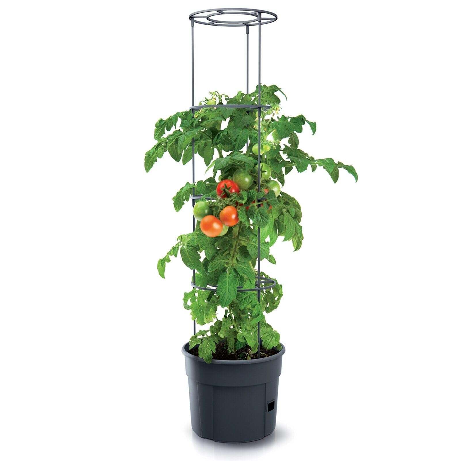 Urbn Garden Black Tomato Grower Tower Plastic Home Indoor/Outdoor Plant Veg Flower Pot