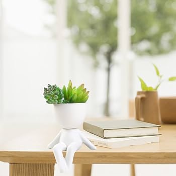 Amazon.co.jp: セラミック多肉植物ポット、クリエイティブな人型