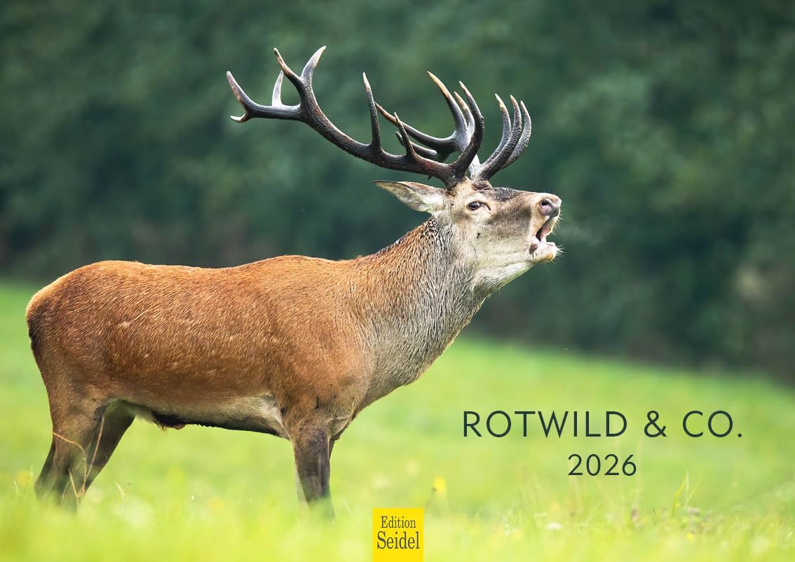 Edition Seidel Calendrier Mural 2026 De Qualité Supérieure - Motif