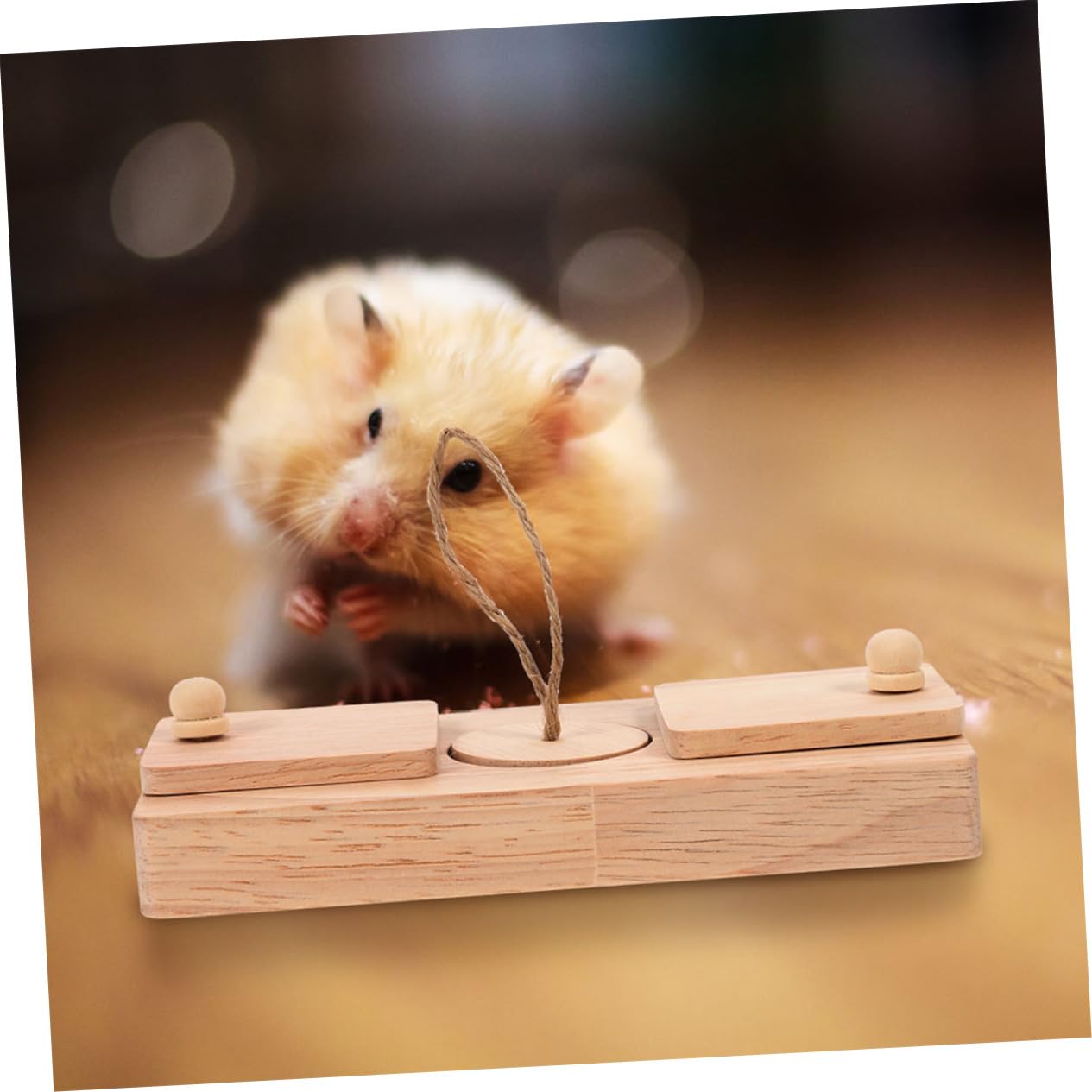 Ensemble De 2 Jouets pour Chinchilla Compacts en Bois pour Cacher des Friandises pour Cage De Petit Animal Accessoire pour Hamster