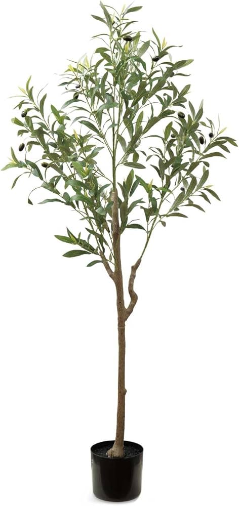 Amazon｜【抗菌・消臭・防汚】 空気をキレイにする CT触媒 国内