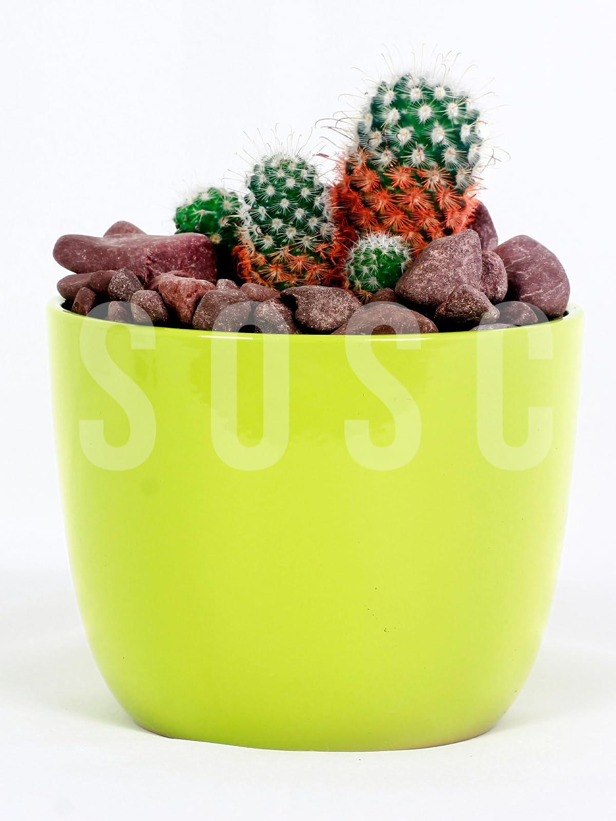 Bordo Çakıl Taşı Dolomit Taşı Bahçe Süsü Akvaryum Taşı Dere Çakıl Taşı 2-3 Cm 3 Kg