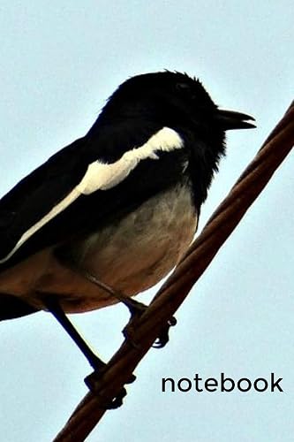 Notebook: Magpie Homework Book Notepad Notebook Composition and Journal Diary