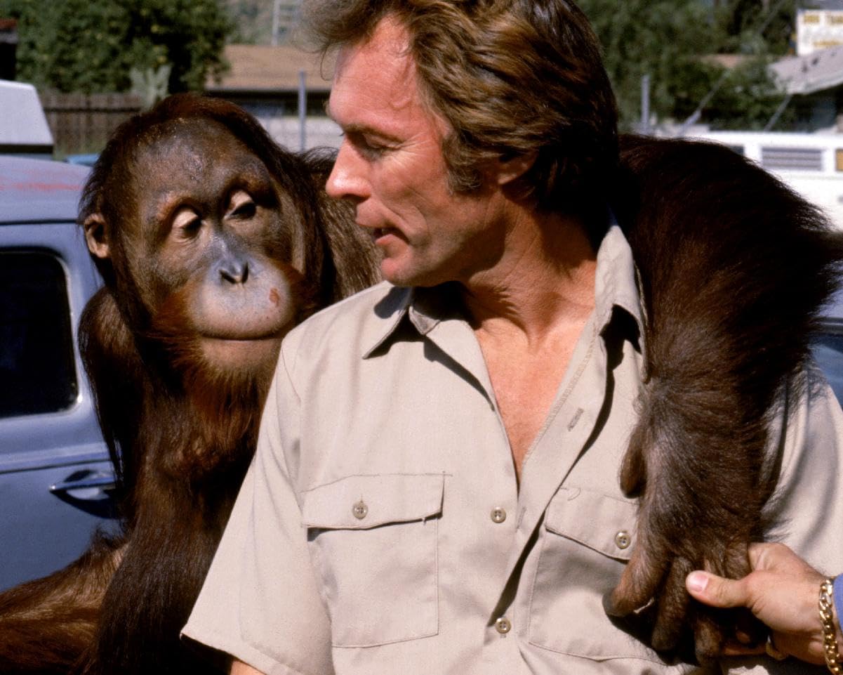 Every Which Way But Loose (1978) Clint Eastwood 10x8 Photo