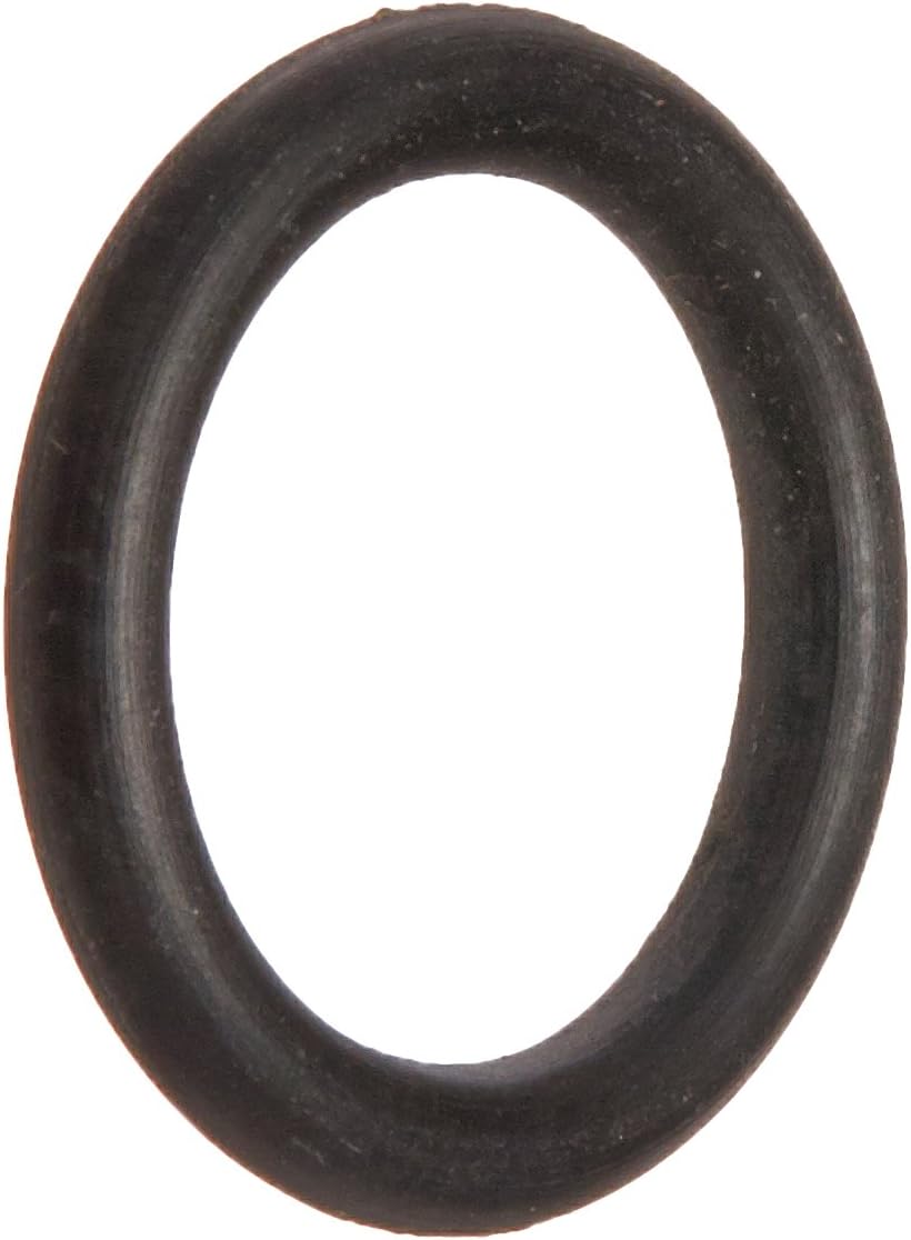 Pentair R172221 Vent Valve O-Ring Replacement Pool/Spa Filter and Feeder