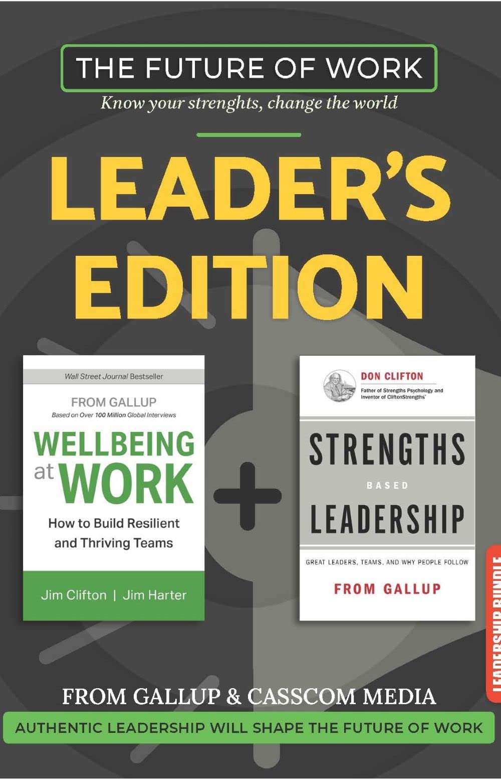 Wellbeing at Work and Strengths Based Leadership Combo