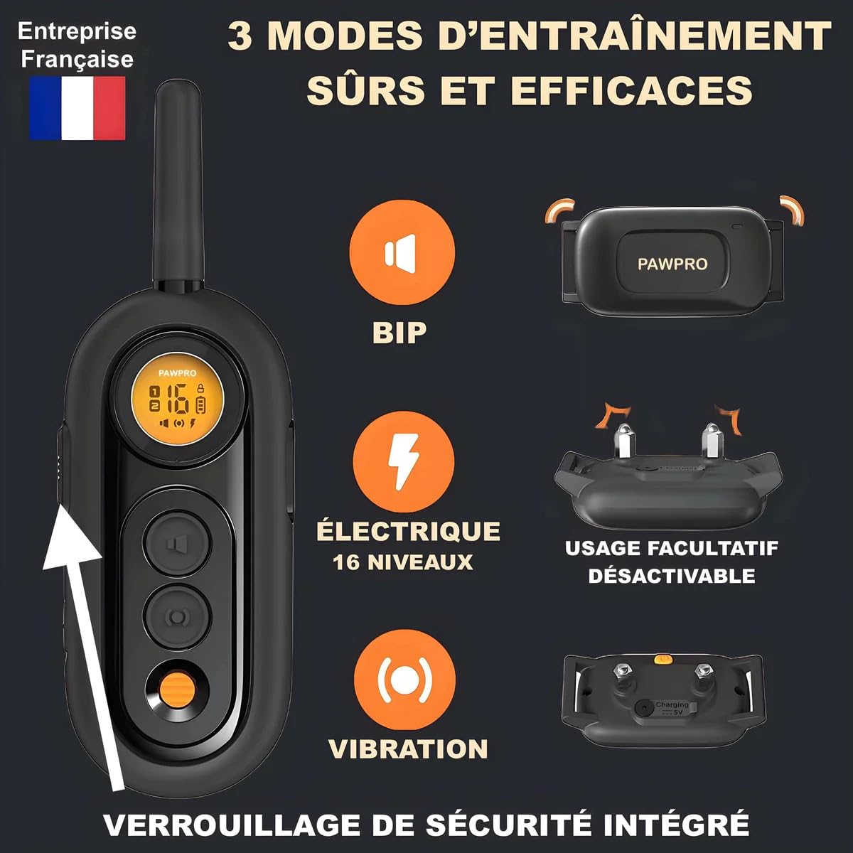 PAWPRO Collier de Dressage Chien 1000m Étanche Rechargeable 3 Modes BIP Vibration Choc