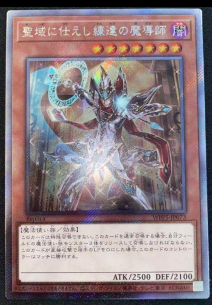 聖域に仕えし練達の魔導師