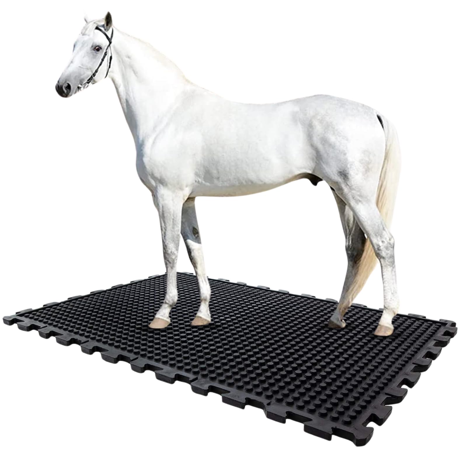 etm Tapis en caoutchouc - 100 x 100 cm - Système de puzzle - Antidérapant et doux pour les articulations - 20 mm d'épaisseur (Buffalo)