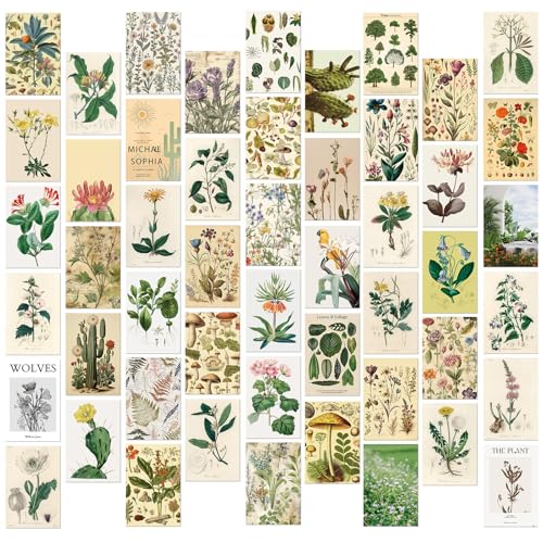 50pcs Vintage Botanical Postcards Floral Posters Cards Wall Art Decoration Post Card Set Retro Greeting Cards Scrapbooking Paper for DIY Craft Home Decor (A)