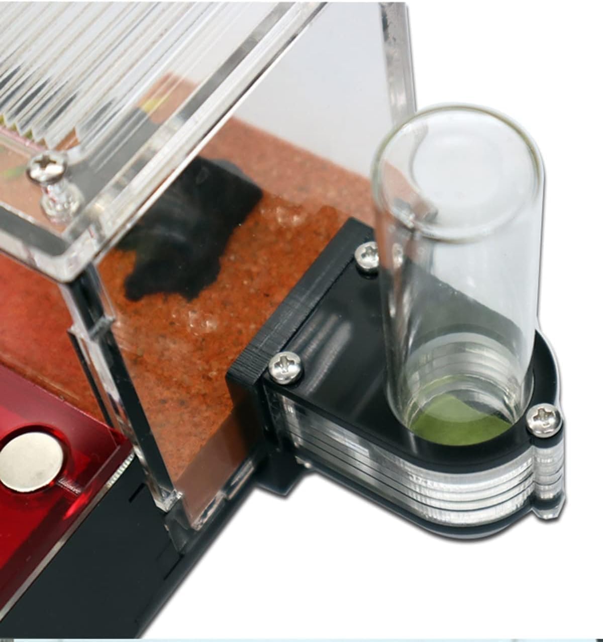 Scatola per allevamento formiche – Grande habitat per osservare formiche vive, formicarium regina, scatola per insetti per alimentazione e officina