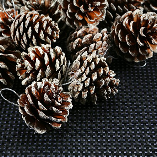 Cooraby 24 Pieces Christmas Pine Cones Ornament Natural Pinecones With String Pendant Crafts For Gift Tag Christmas Tree Party Hanging Decoration (Snow) #TOP7