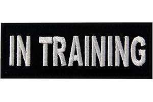 in Training Patch - 4 X 1.5 Inches