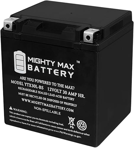 YTX30L-BS - BaterĂa de 12 V 30 AH para Arctic Cat 700 Wildcat Sport, Trail 16 YTX30L-BS - BaterĂa de 12 V 30 AH para Arctic Cat 700 Wildcat Sport, Trail 16