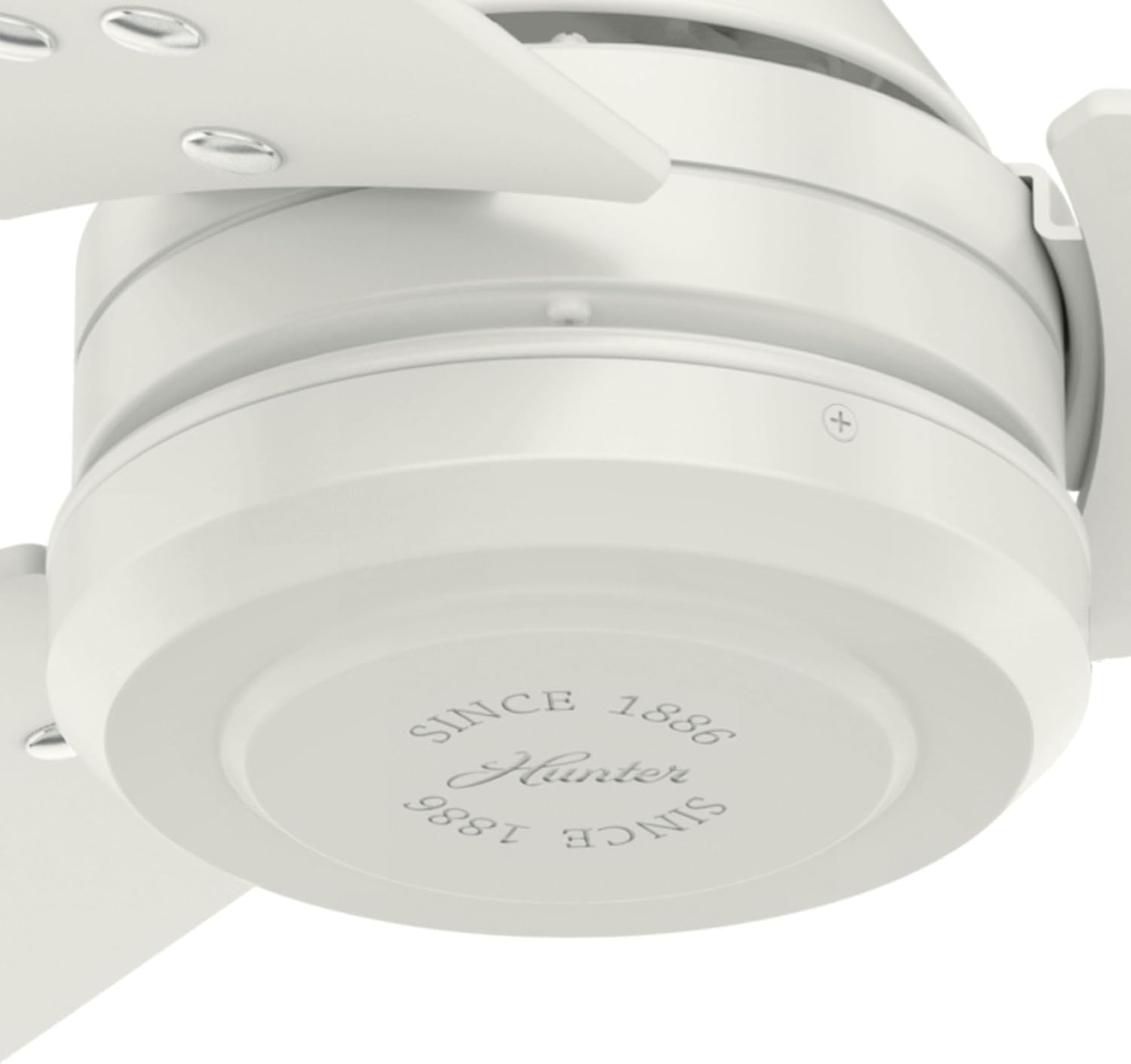 Close-up of Hunter Protos fan blades and motor housing